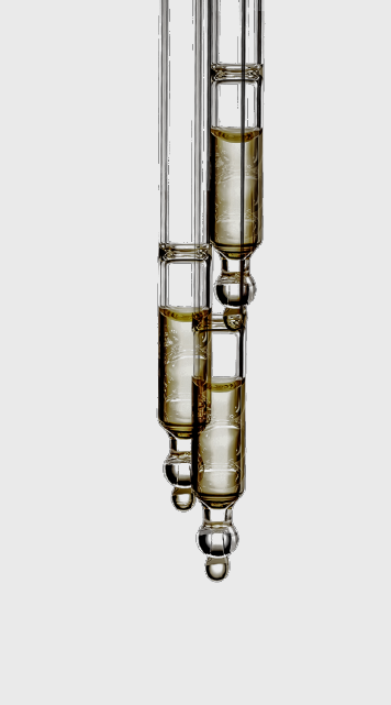 Cellular Nutrition Technology